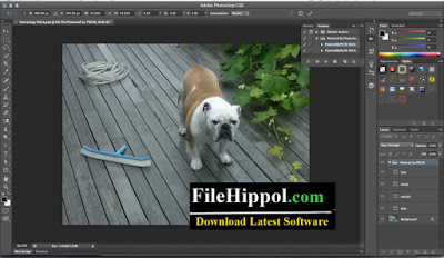 adobe photoshop free download for windows 10 64 bit filehippo